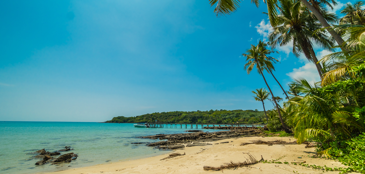 Best Beeches in Goa